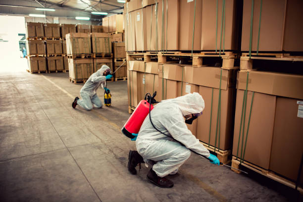 Best Local Pest Control Services  in Mion, AR