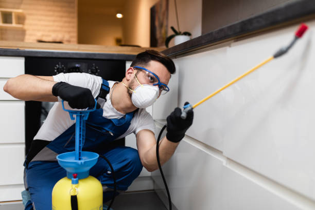 Best Emergency Pest Control  in Mion, AR