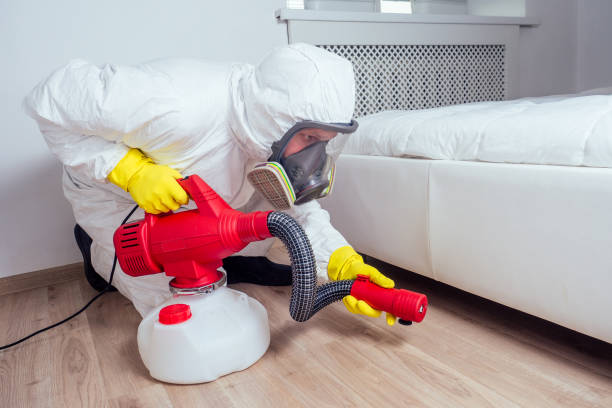 Best Termite Control Services  in Mion, AR