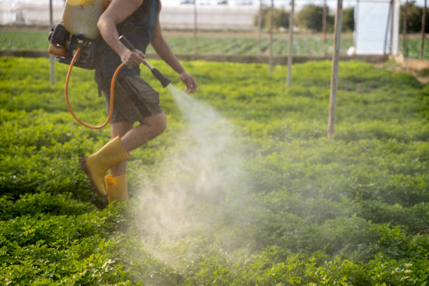 Best Mosquito Control Services  in Mion, AR