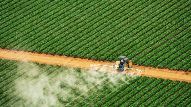 Best Pest Control Treatment  in Mion, AR