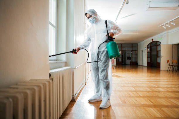Best Wasp Removal Services  in Mion, AR