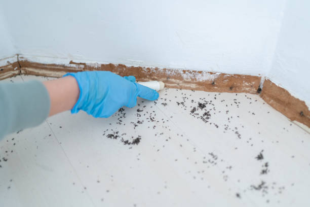 Best Pest Inspection Near Me  in Mion, AR