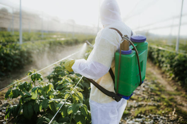 Best Cockroach Control Services  in Mion, AR